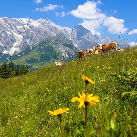 Theresia Apartament Maria Alm am Steinernen Meer