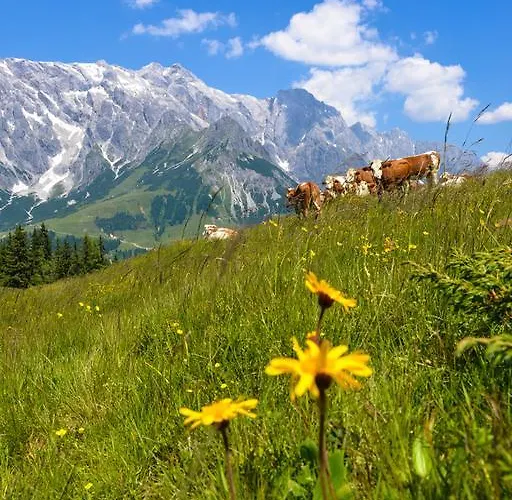 Theresia Lägenhet Maria Alm am Steinernen Meer